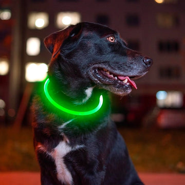LED Collar