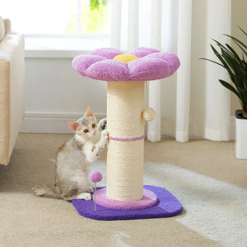 Scratching Post