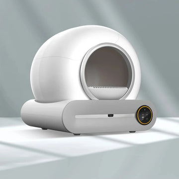 Self Cleaning Box