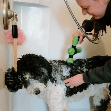 Pet Shower
