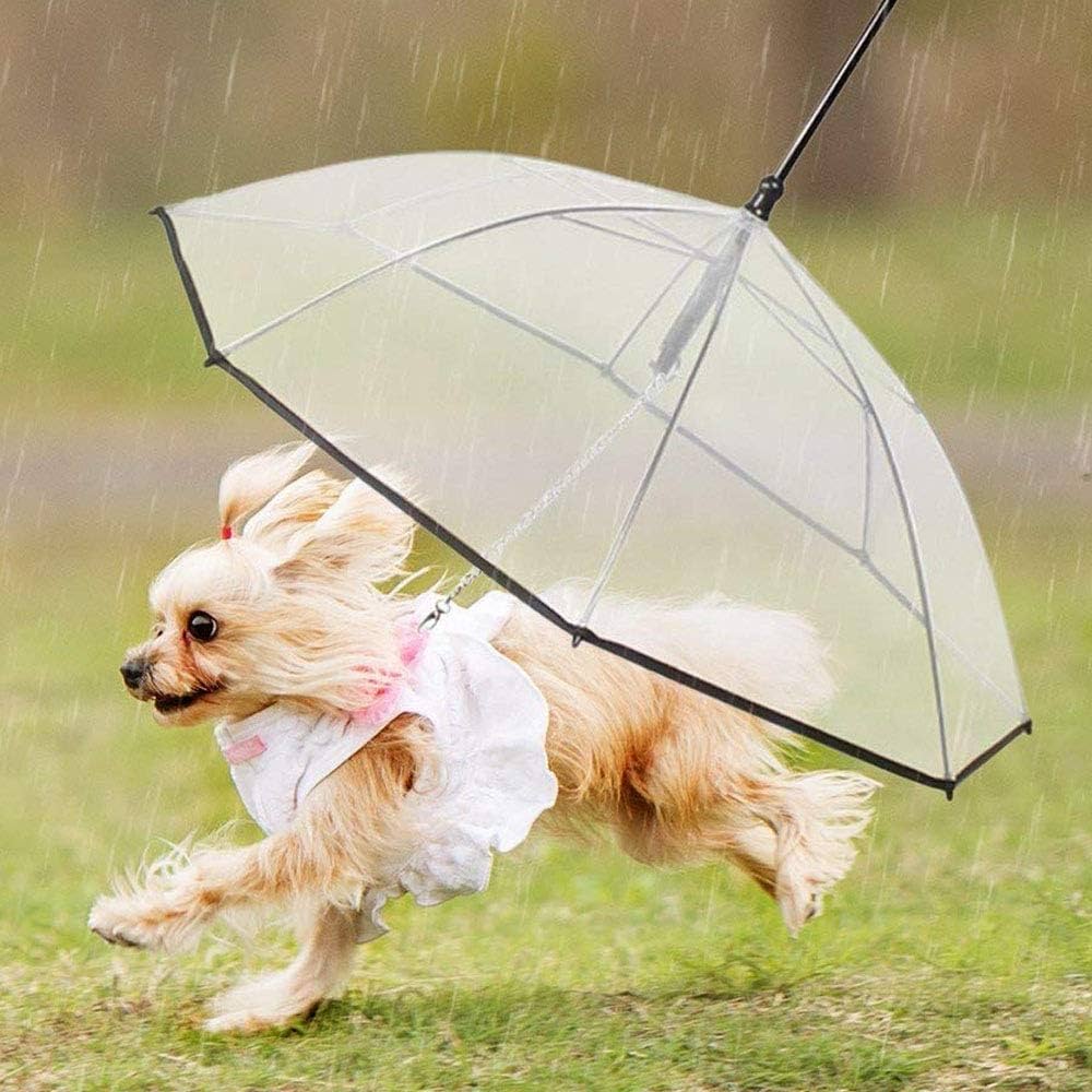 Pet Umbrella