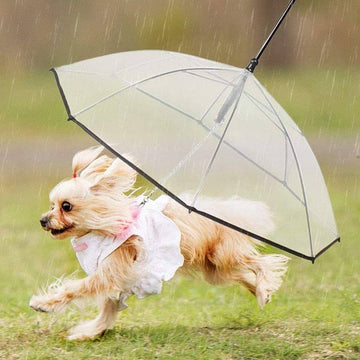 Pet Umbrella