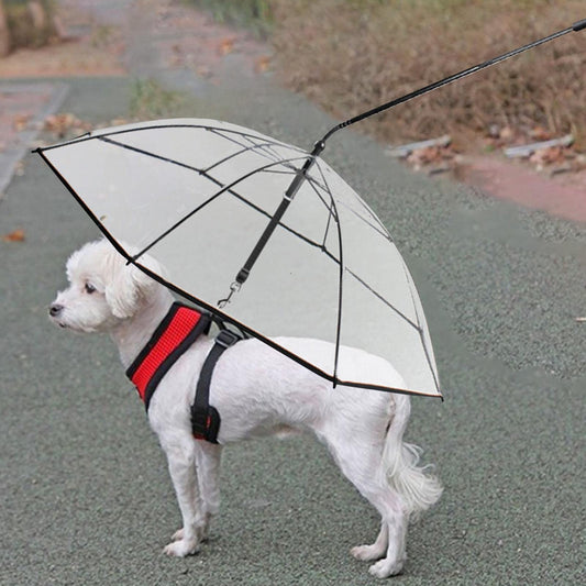 Pet Umbrella