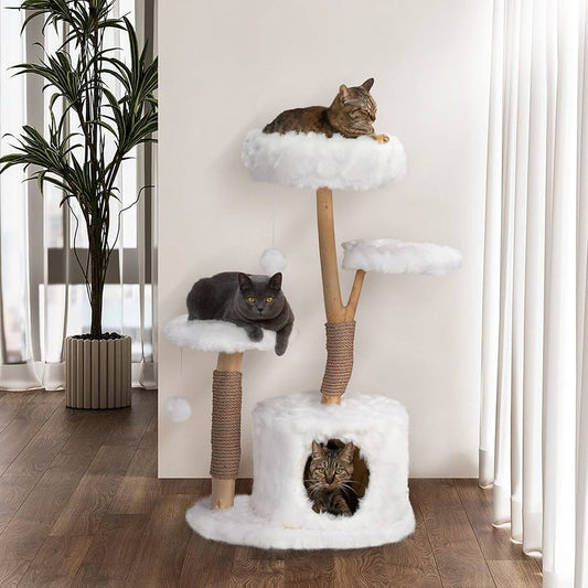 Climbing Tree