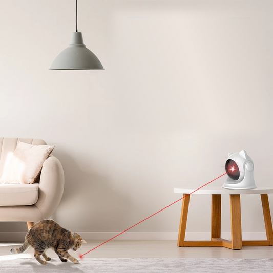 Rechargeable Laser Toy