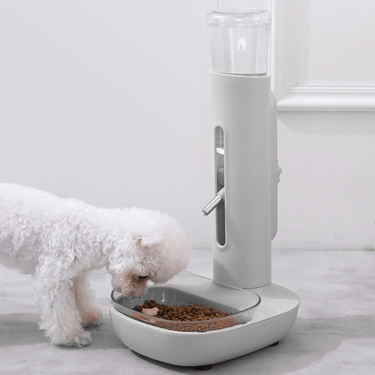 Automatic Dispenser