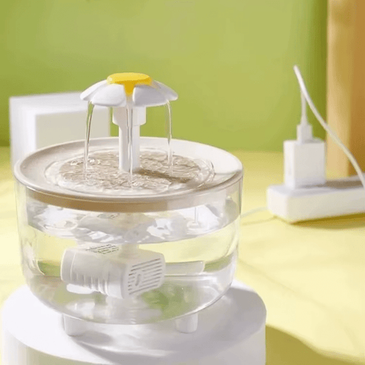 Water Fountain