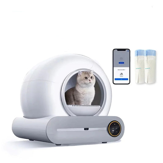 Self Cleaning Box