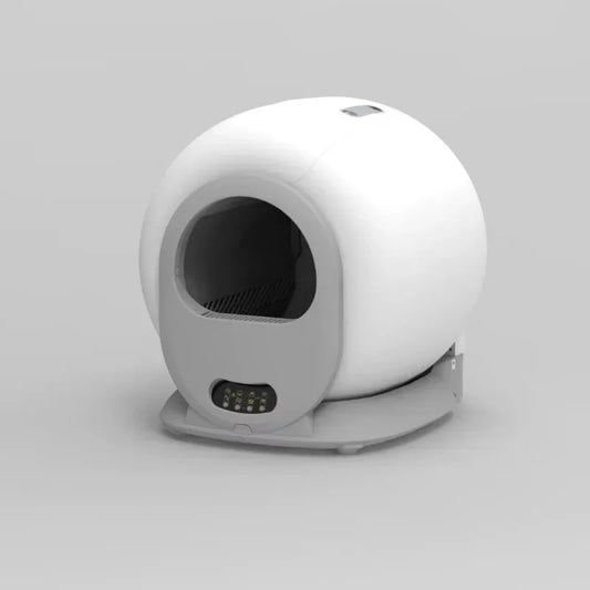Cat Litter Box