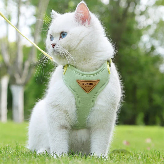 Fashionable Leash Set