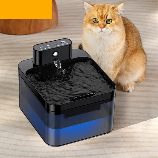 Automatic Water Fountain