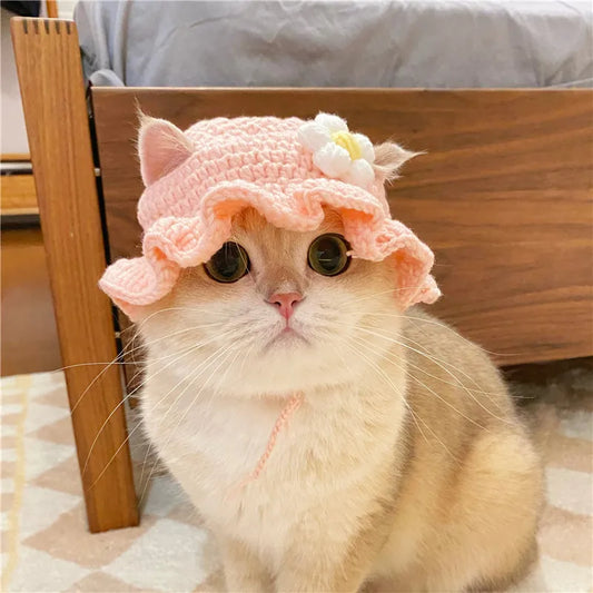 Knitted Cat Hat Hand-made