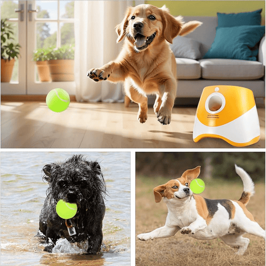 Interactive Ball Launcher