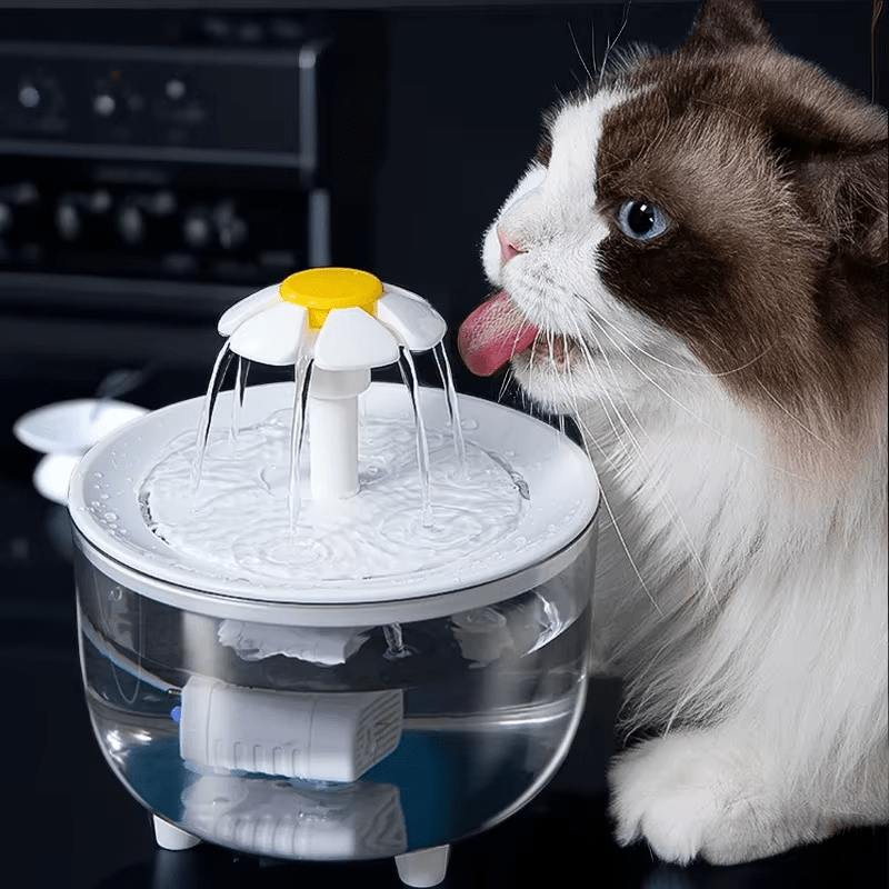 Water Fountain