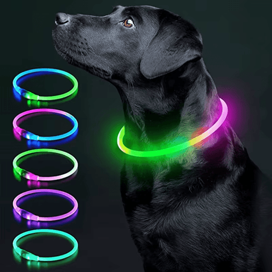 LED Collar