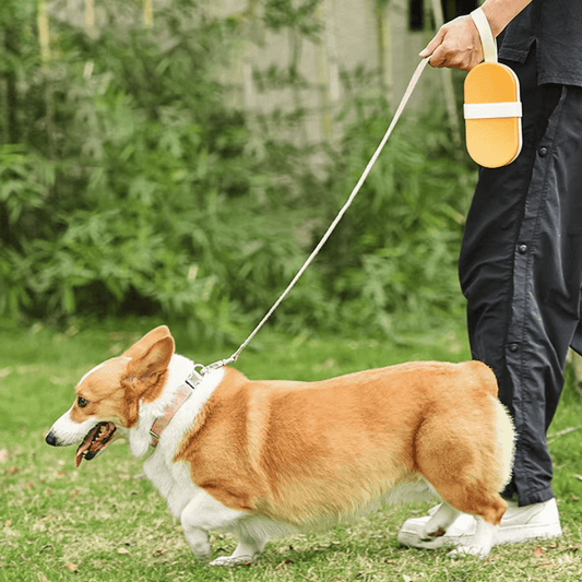 Portable Pet Supply